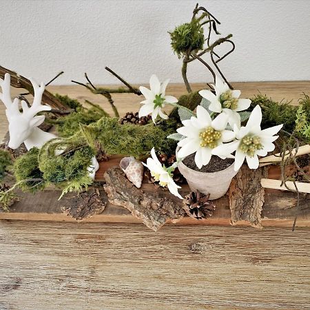 Edelweiss Apartment Oberstaufen Luaran gambar